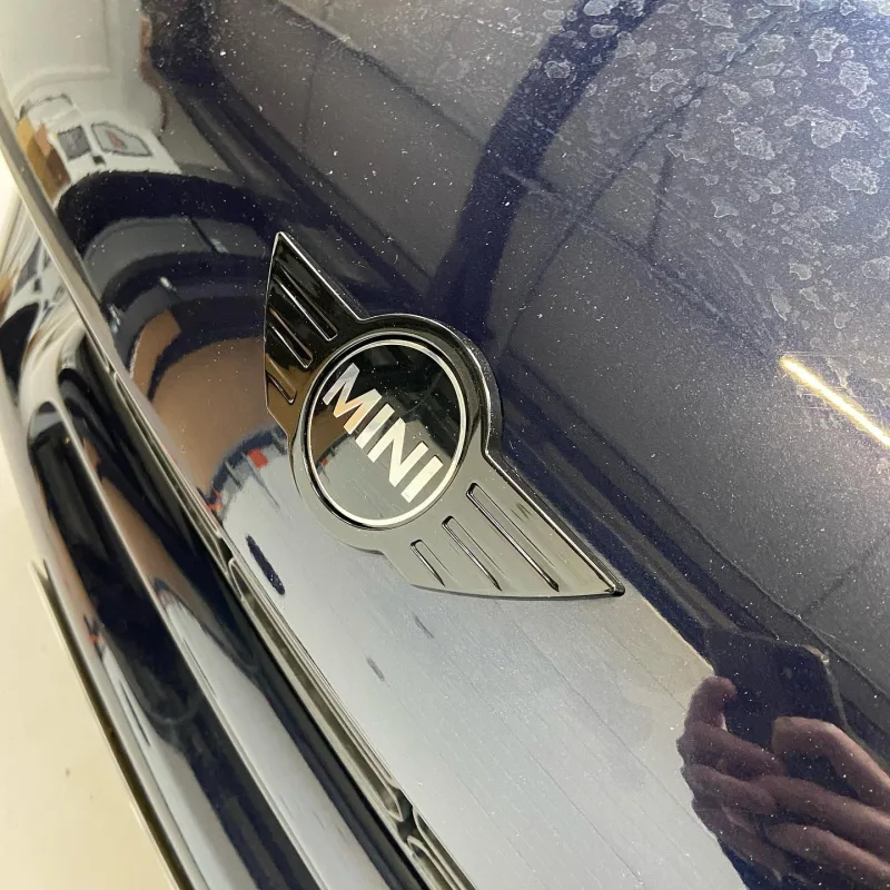 MINI Countryman Cooper SD R60 Full Chrome Delete