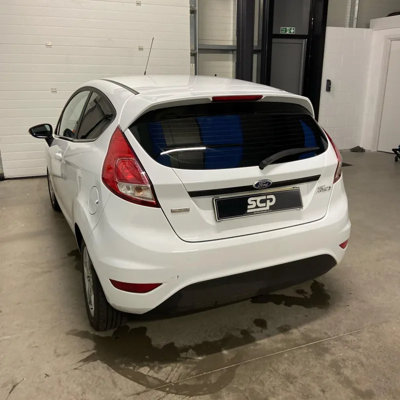 Ford Fiesta 5% Tint & Beltline Chrome Delete